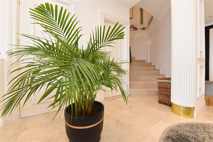 Designer renovated villa 5+1