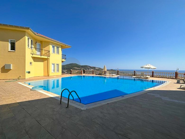 Designer renovated villa 5+1