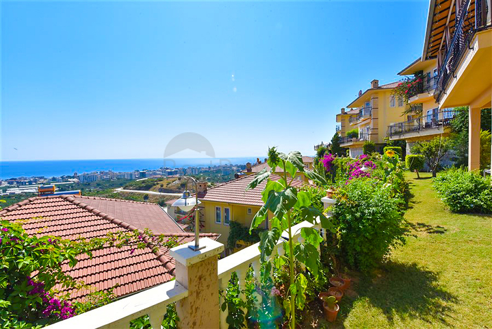 Designer renovated villa 5+1