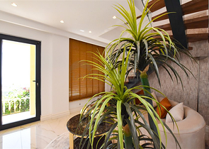 Designer renovated villa 5+1