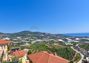 Designer renovated villa 5+1