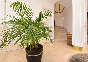 Designer renovated villa 5+1