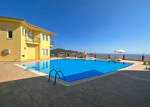 Designer renovated villa 5+1