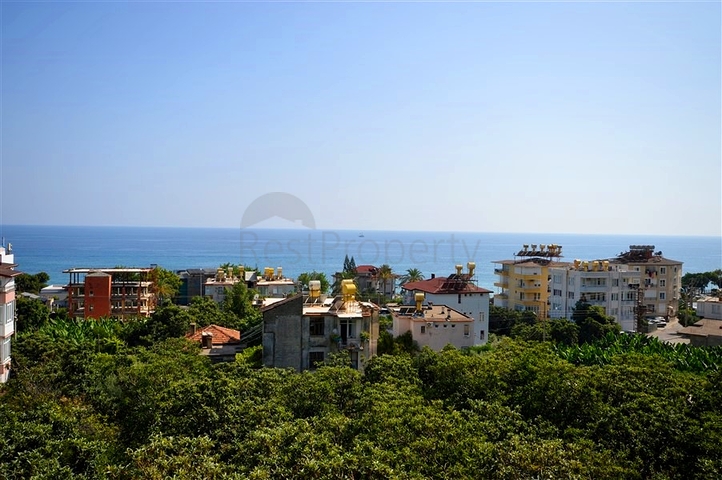 1+1 apartment in Cleopatra district