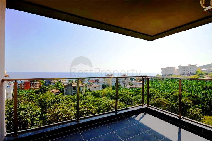 1+1 apartment in Cleopatra district