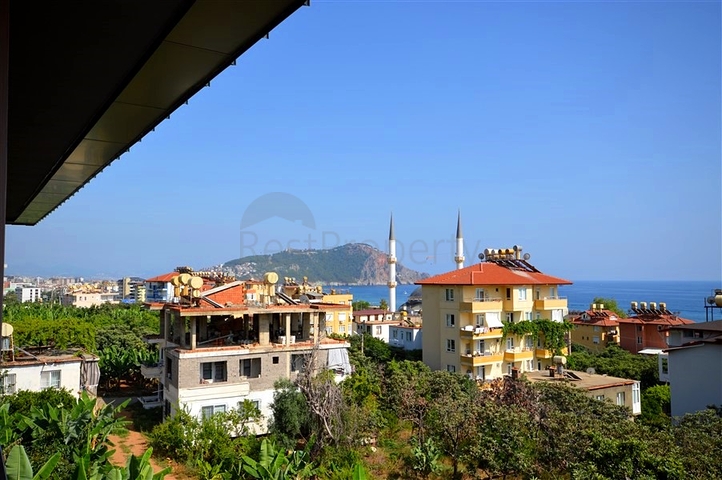 1+1 apartment in Cleopatra district