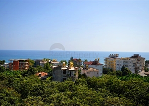 1+1 apartment in Cleopatra district