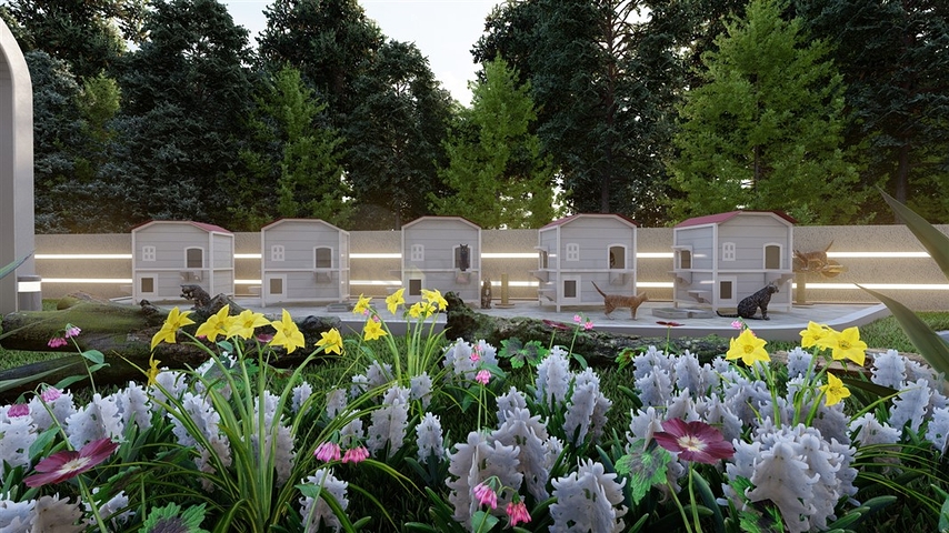 A new investment project in a promising area of Oba