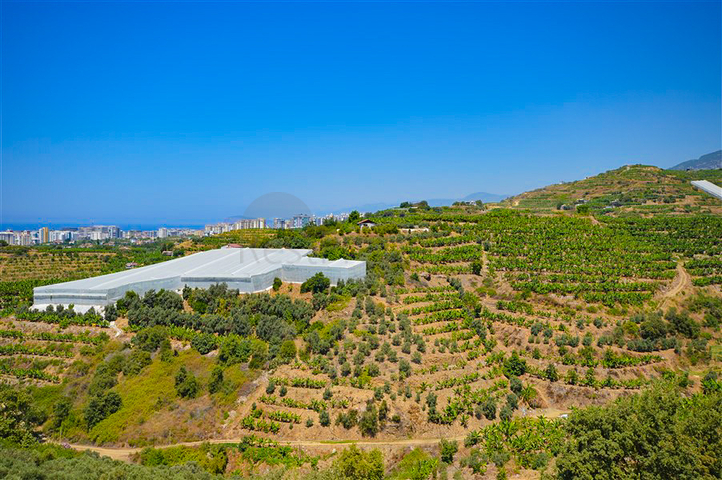 Villa in sita 4+1 with a small garden and sea and mountain views in the picturesque Kargicak area