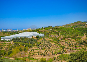 Villa in sita 4+1 with a small garden and sea and mountain views in the picturesque Kargicak area