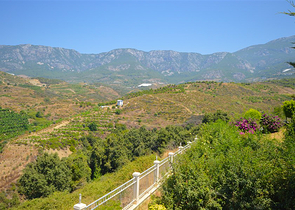 Villa in sita 4+1 with a small garden and sea and mountain views in the picturesque Kargicak area