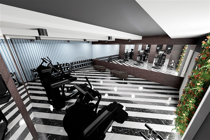 Investment project in Demirtas district