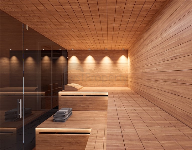 Investment project in Demirtas district