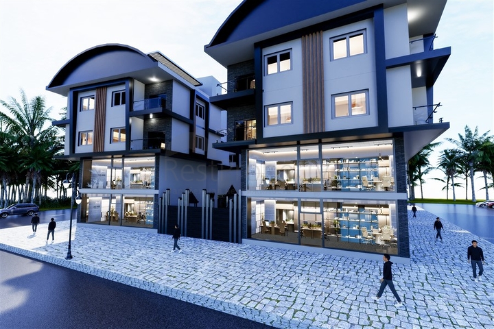 Investment project in Demirtas district