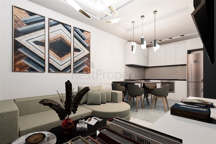 Investment project in Demirtas district