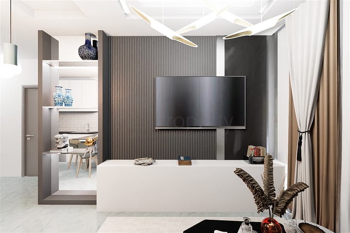 Investment project in Demirtas district