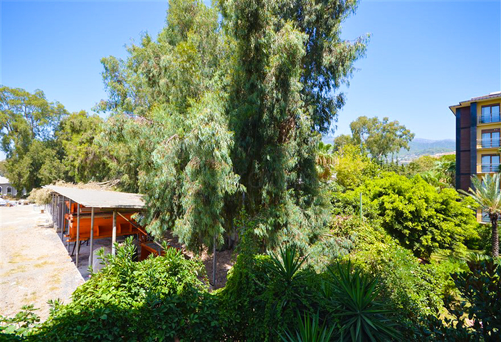 Apartment 2+1 on the first line in the center of Alanya