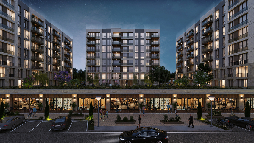 Investment project of the family concept 