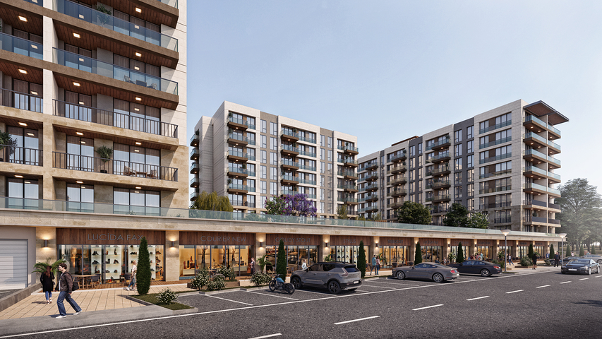 Investment project of the family concept 