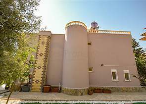 Villa for citizenship in Kestel area Villa for citizenship in Kestel area