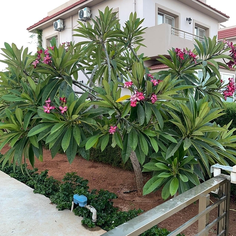 Villa on the coast of Long Beach