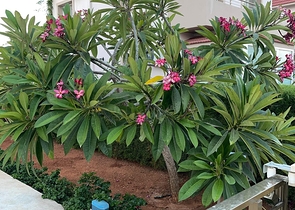 Villa on the coast of Long Beach