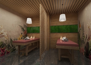 New investment project in Demirtas district