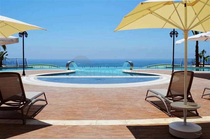 Luxury villas on the territory of a unique complex