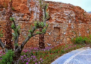 Luxury villas on the territory of a unique complex