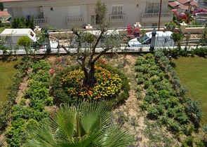 Luxury villas on the territory of a unique complex