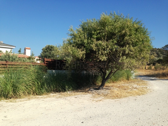 Villa with a large plot with a green garden in Alachaty