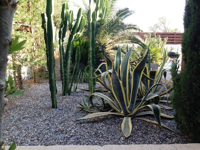 Villa with a large plot with a green garden in Alachaty