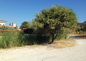 Villa with a large plot with a green garden in Alachaty