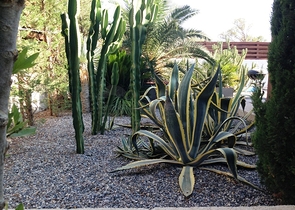 Villa with a large plot with a green garden in Alachaty