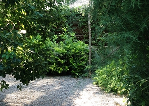 Villa with a large plot with a green garden in Alachaty