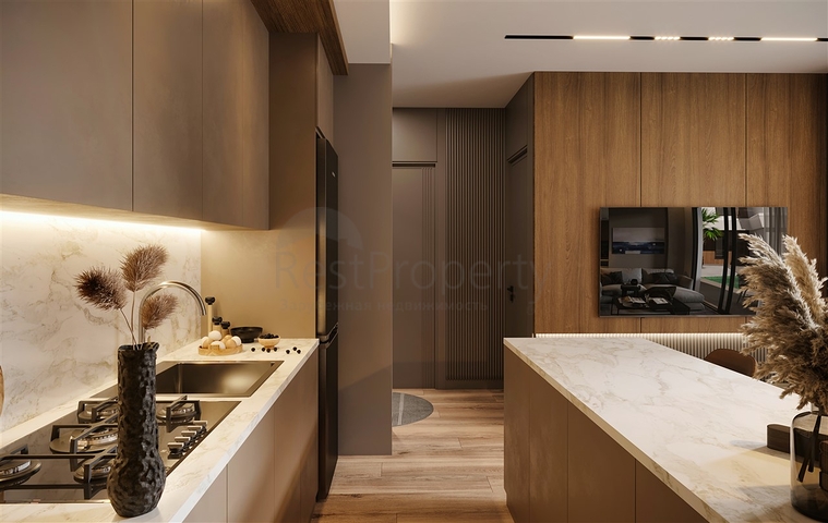 Investment project in the Altyntas - Antalya area 