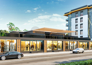 Investment project in the Altyntas - Antalya area