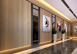 Investment project in the Altyntas - Antalya area