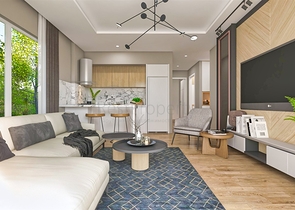 Investment project in the Altyntas - Antalya area 