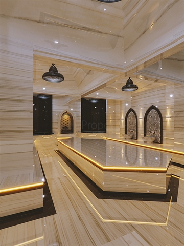 Investment project in the Altyntas - Antalya area 