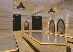 Investment project in the Altyntas - Antalya area 