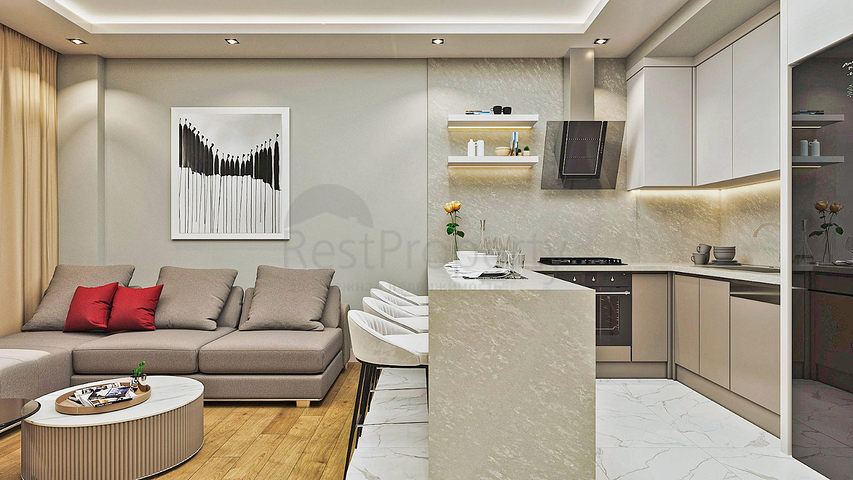 Investment project in the Altyntas - Antalya area 