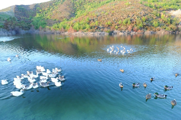 Exclusive 2+1 apartment from the owner in the Gold Sidi complex