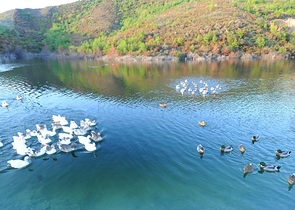 Exclusive 2+1 apartment from the owner in the Gold Sidi complex