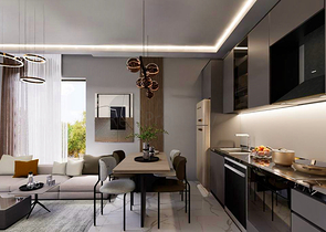 Investment project in the Altyntas - Antalya area  Investment project in the Altyntas - Antalya area