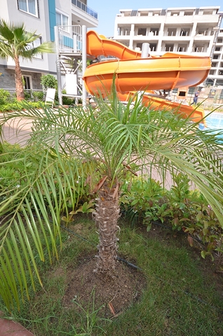 1+1 apartment in a hotel-plan complex in Kestel