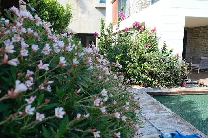 Luxury villas with view of island KOS 