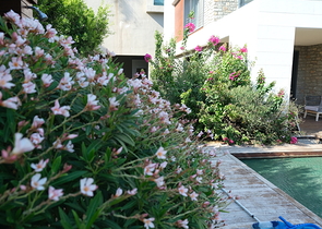 Luxury villas with view of island KOS 