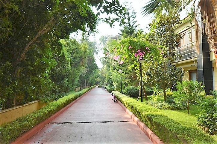 Apartments on the first coastline for rent