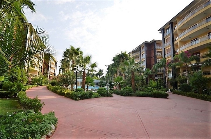 Apartments on the first coastline for rent